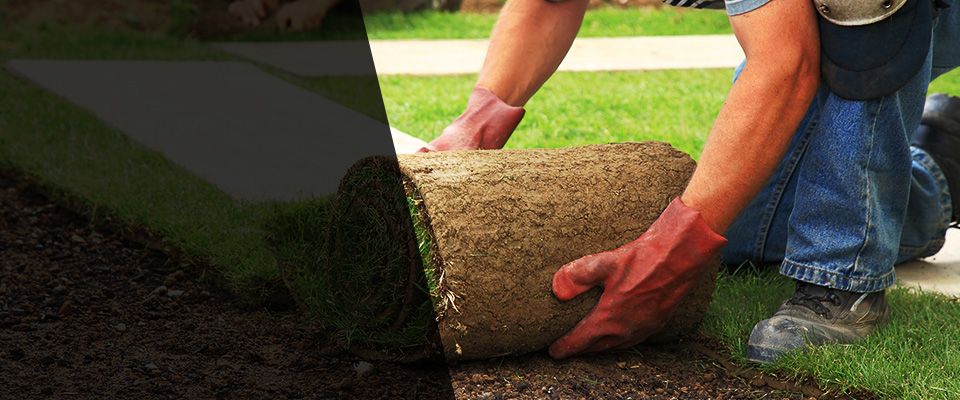 Absecon Landscapers